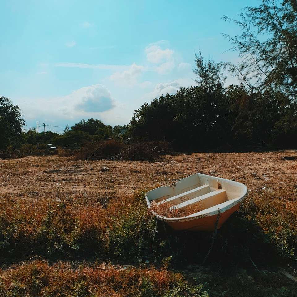 vit båt på fältet för brunt gräs under dagtid pussel på nätet