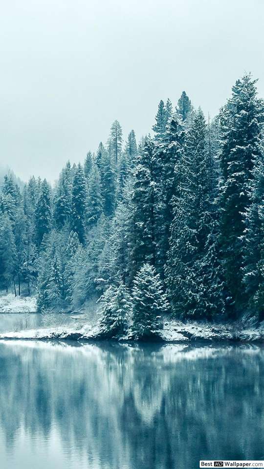 Snöig skog Pussel online