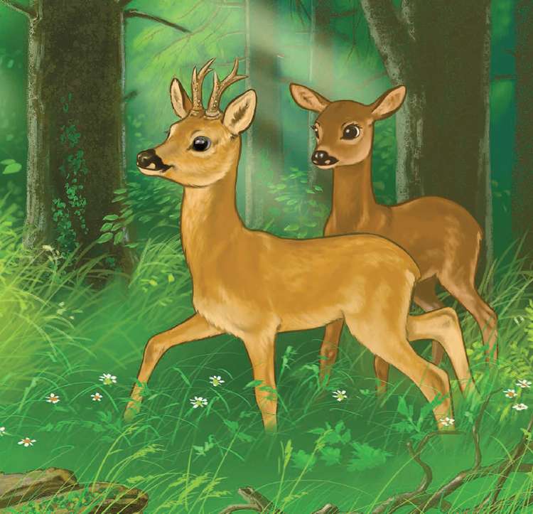 cervo nella foresta puzzle online