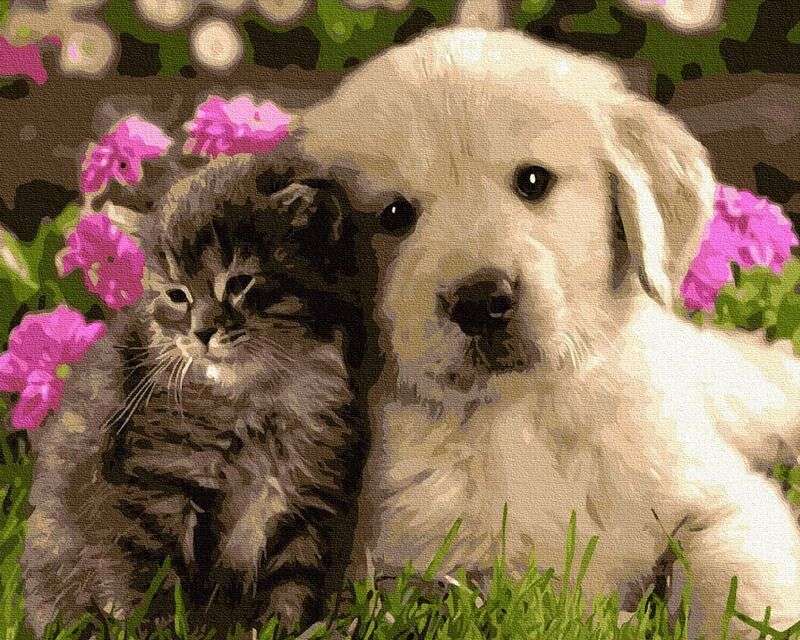子猫と犬 ジグソーパズルオンライン