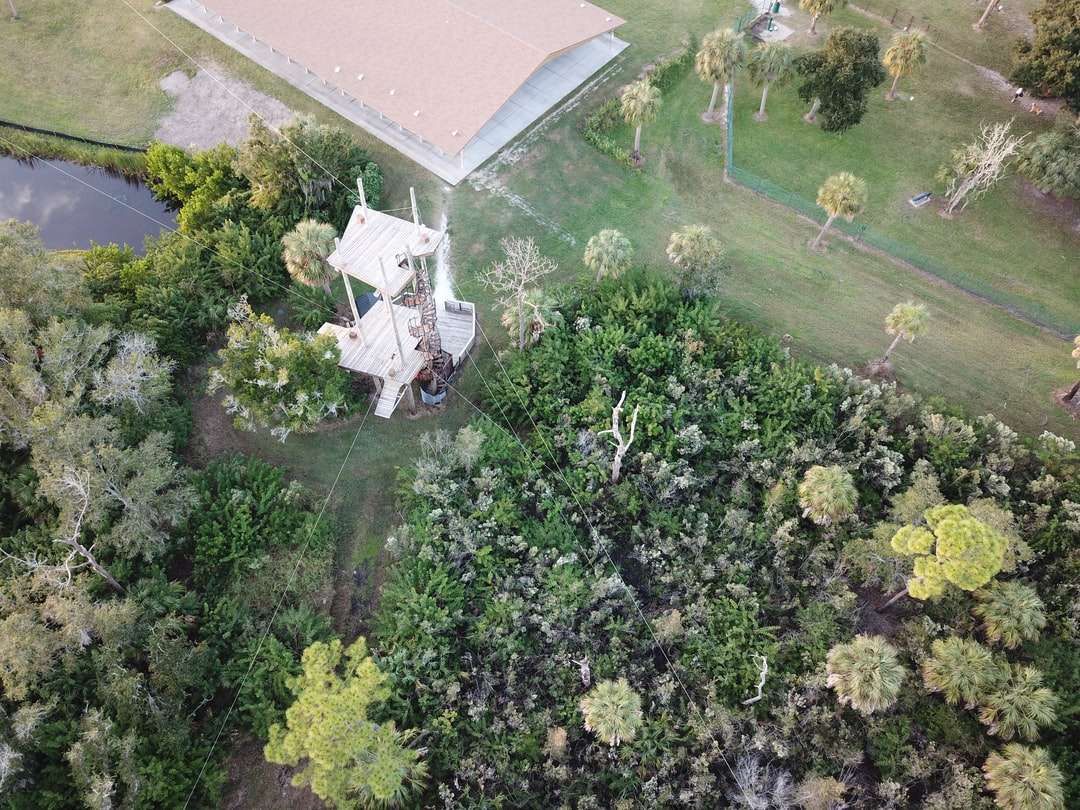аэрофотосъемка дома в окружении деревьев онлайн-пазл