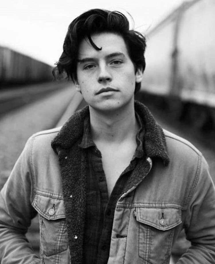 Cole Sprouse online puzzle