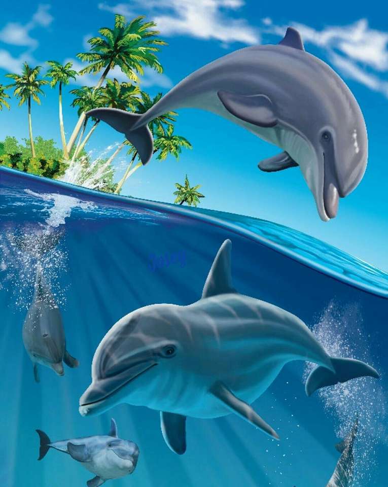 Alegres delfines rompecabezas en línea