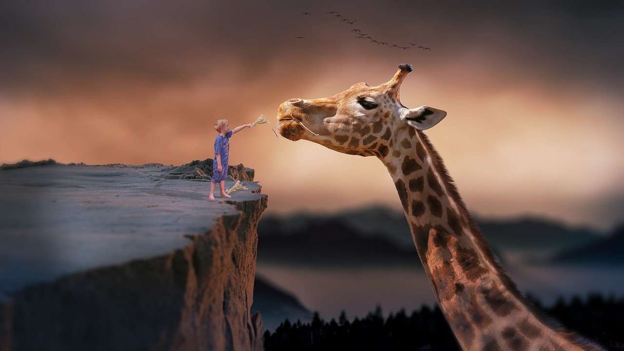 Жираф и момче онлайн пъзел