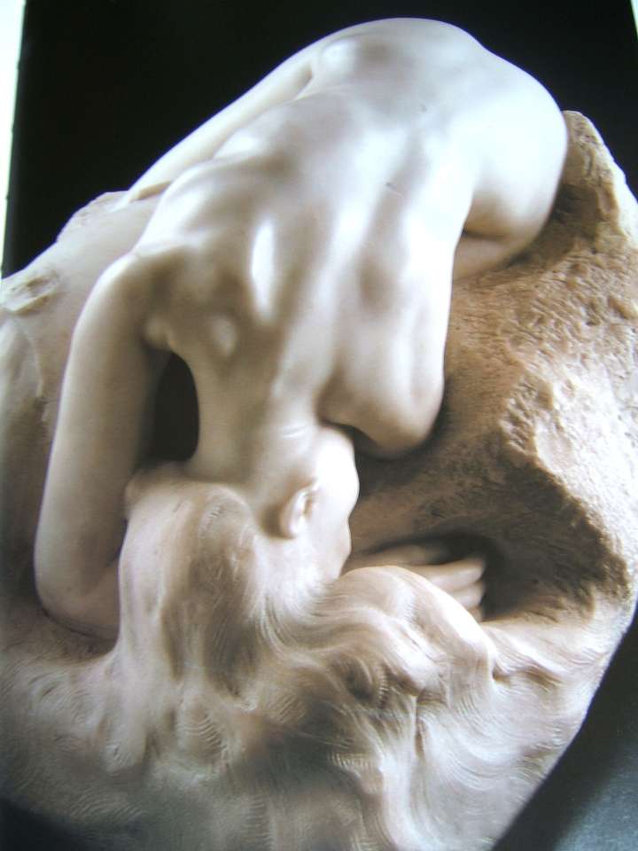Rodin Danaide puzzle online