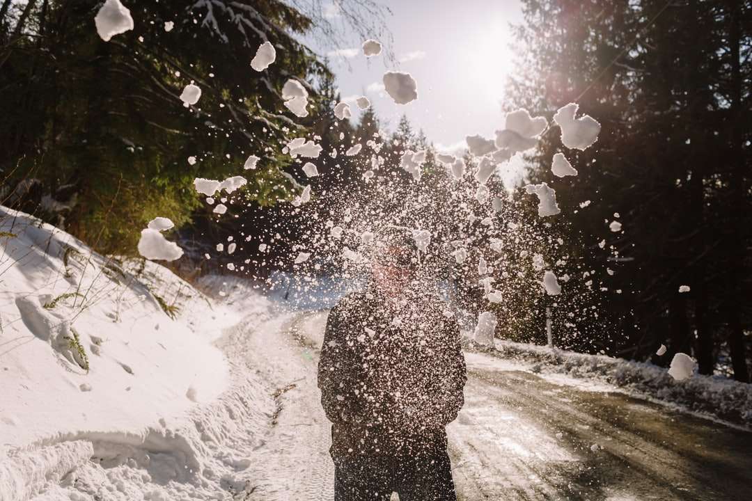 fekete kabátos, hóval borított földön álló személy kirakós online