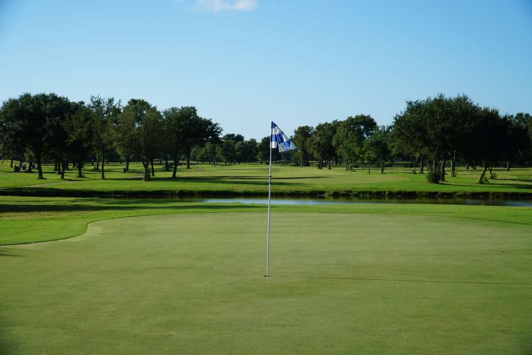 terrain de golf avec des arbres verts au loin puzzle en ligne