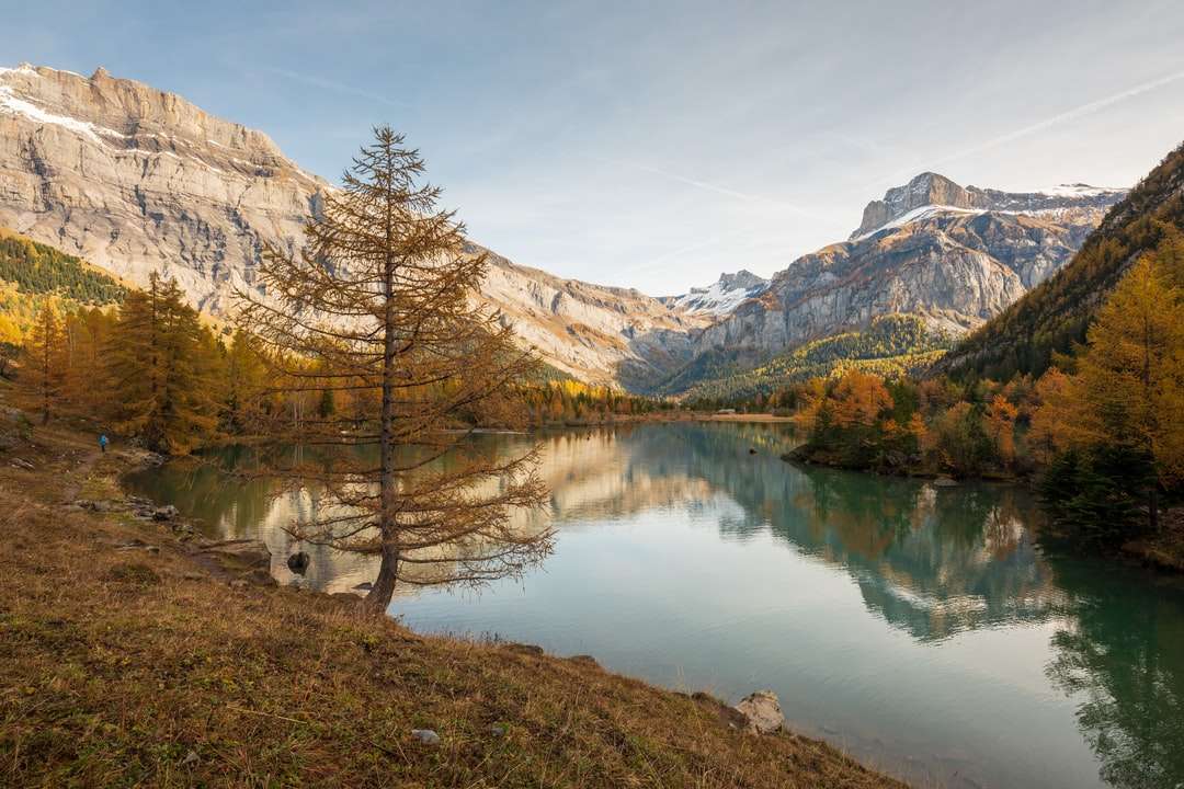 кафяви дървета близо до езерото и планината през деня онлайн пъзел