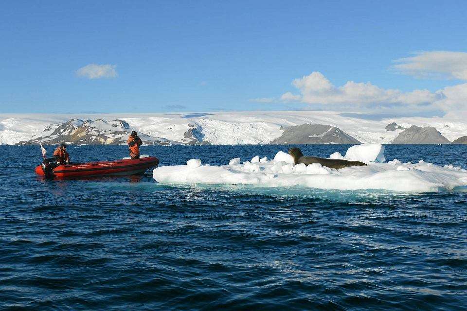 спасатели в антарктиде онлайн-пазл