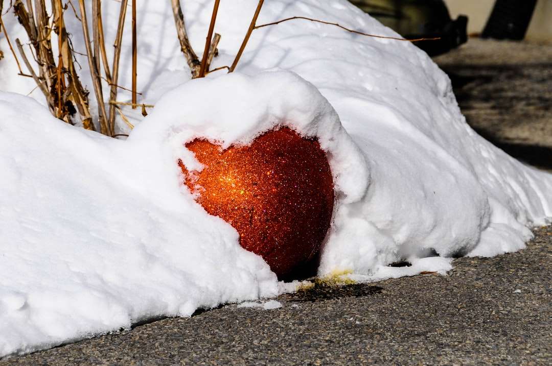 braune runde Frucht mit Schnee bedeckt Online-Puzzle