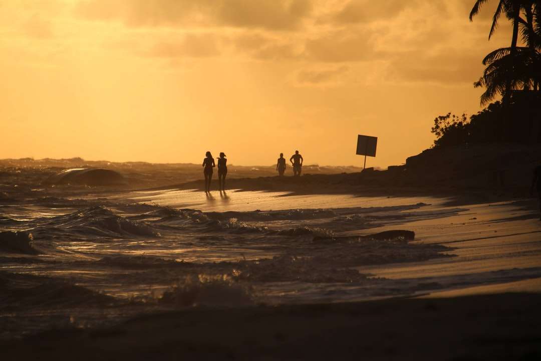 sziluettje az emberek séta a tengerparton naplemente alatt kirakós online