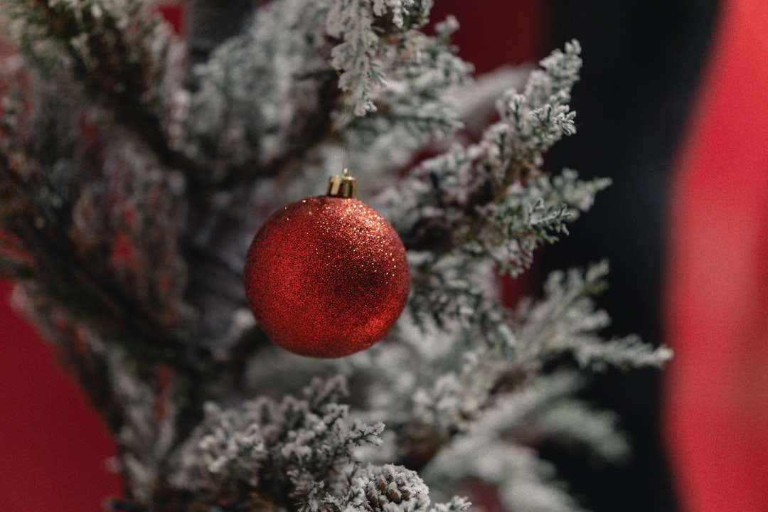 красная безделушка на дереве со снегом пазл онлайн
