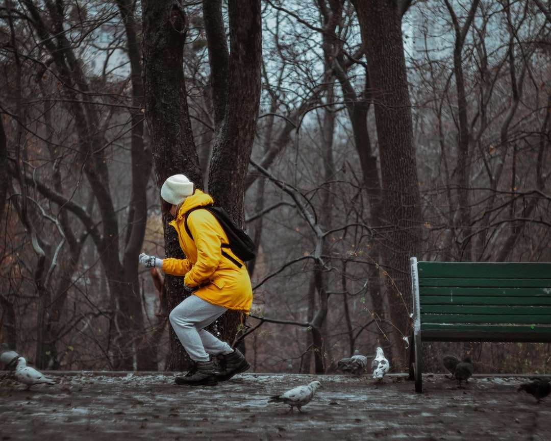 людина в жовтій куртці і білих штанях ходить по лісу пазл онлайн