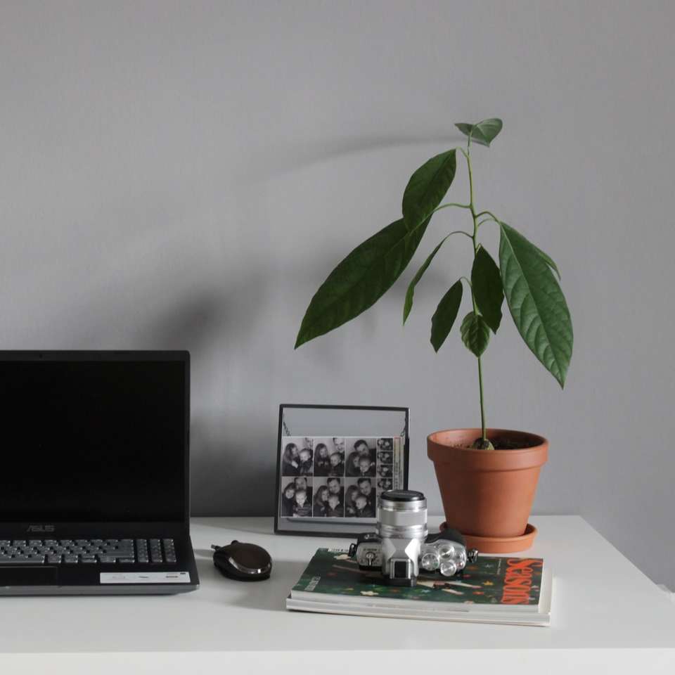 черен и сребърен преносим компютър до зелено растение онлайн пъзел