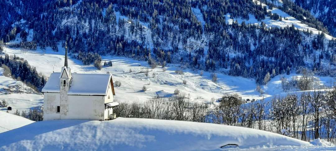 casă albă și neagră pe pământ acoperit de zăpadă puzzle online