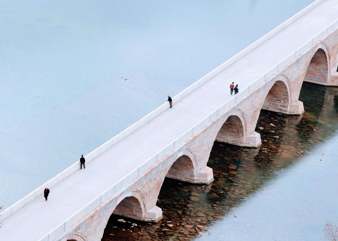 lidí, kteří jdou na bílém betonovém mostě během dne online puzzle