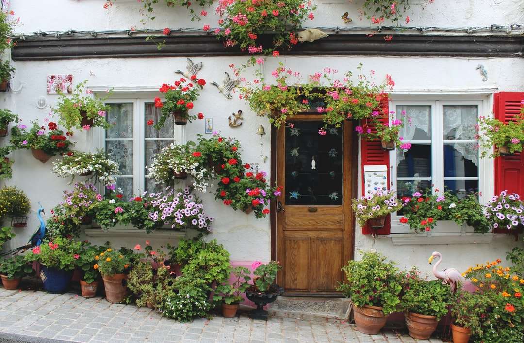 червени и розови цветя на кафява дървена врата онлайн пъзел