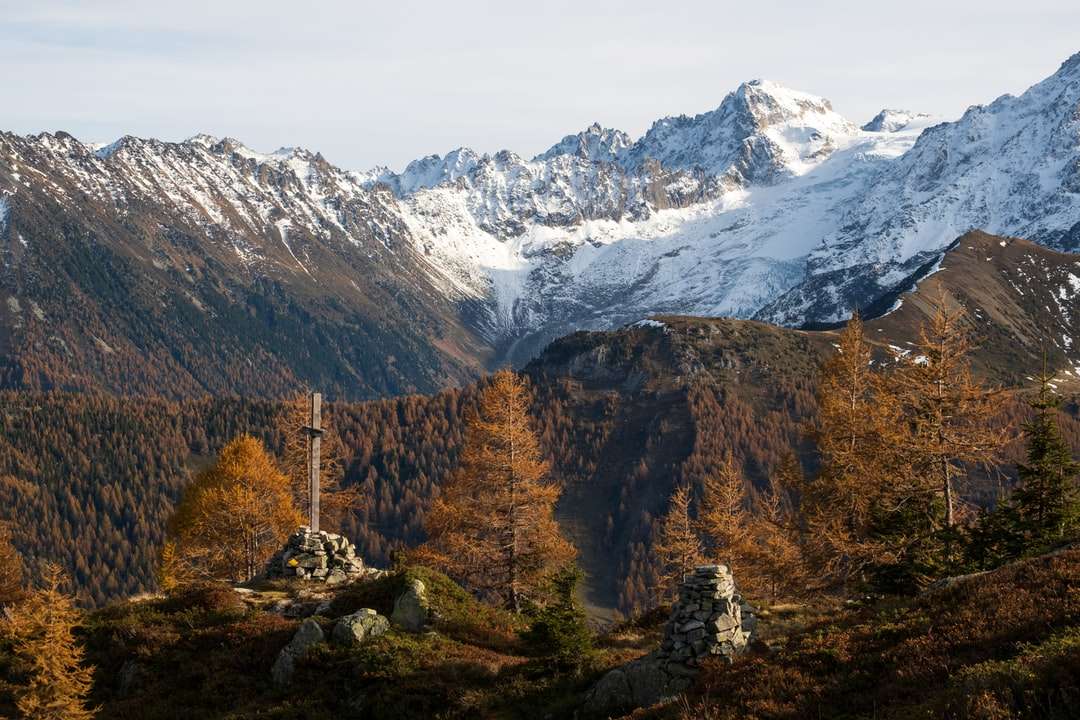 braune Bäume in der Nähe von schneebedeckten Bergen während des Tages Online-Puzzle