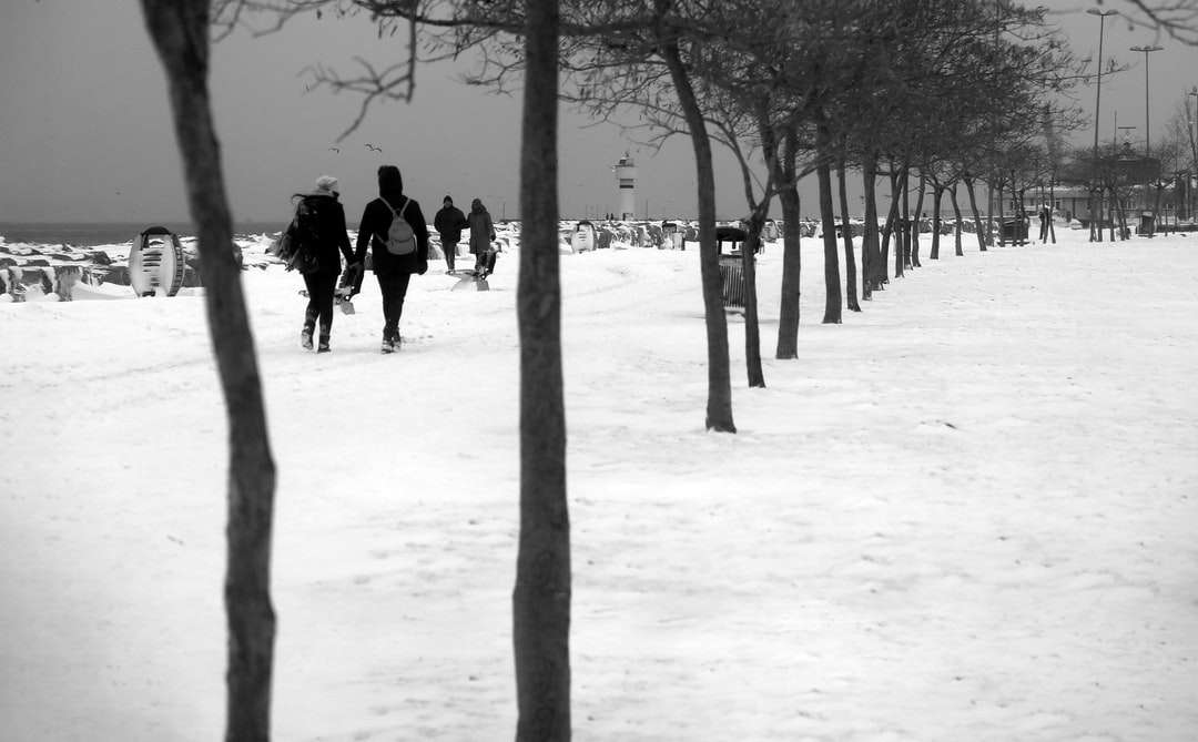 az emberek séta a hóval borított földön, csupasz fák közelében online puzzle