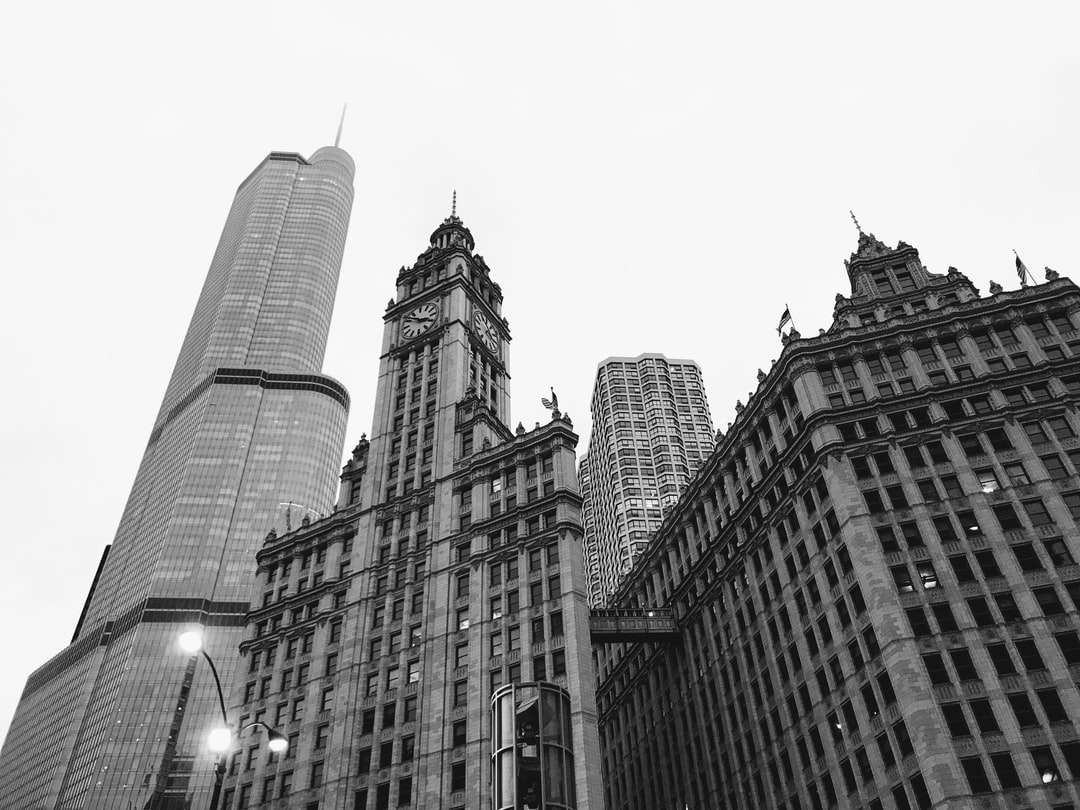 foto en escala de grises de un edificio de gran altura rompecabezas en línea