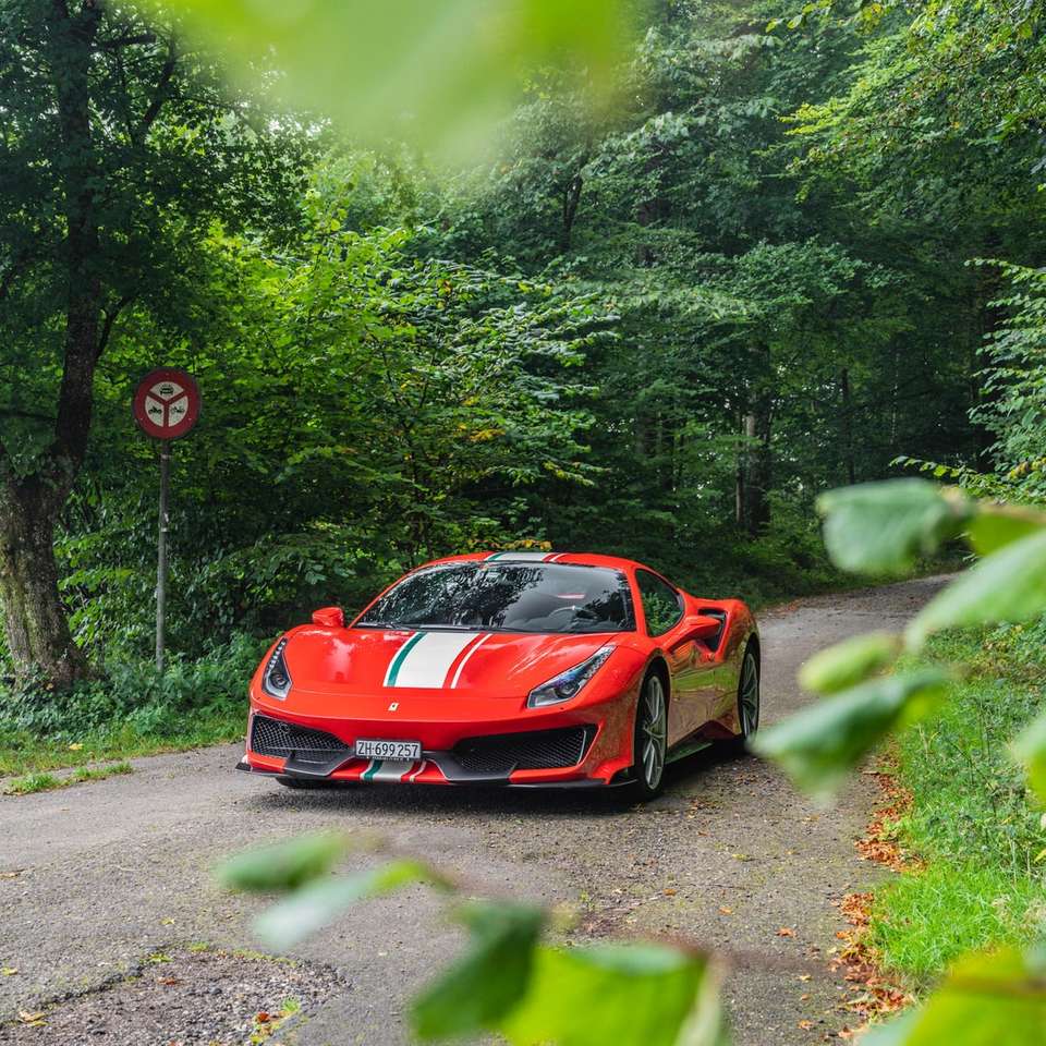 Ferrari Coupe rojo en la carretera entre árboles verdes rompecabezas en línea