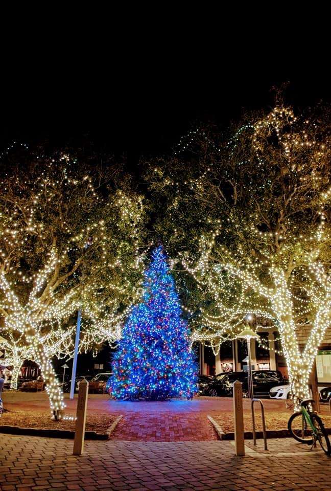 Christmas Rosmary Florida USA quebra-cabeças online