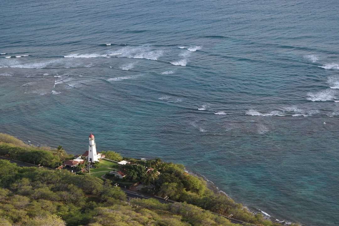 緑の草で覆われた島の白と赤の灯台 オンラインパズル