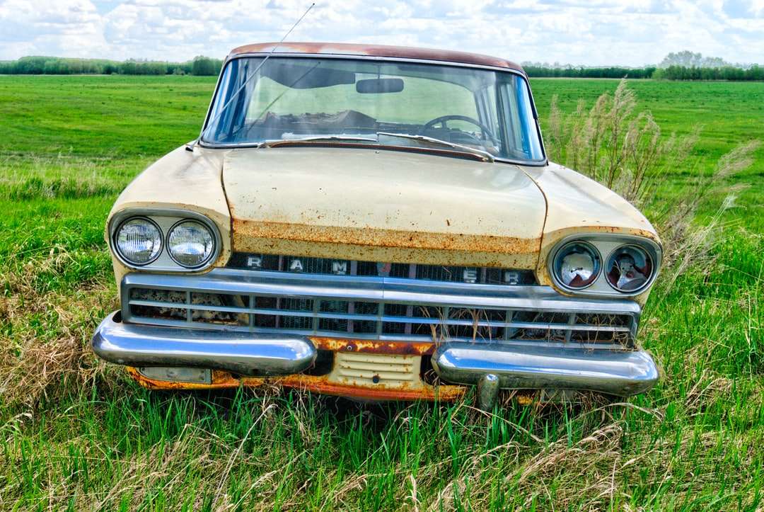 brun bil på fältet för grönt gräs under dagtid Pussel online