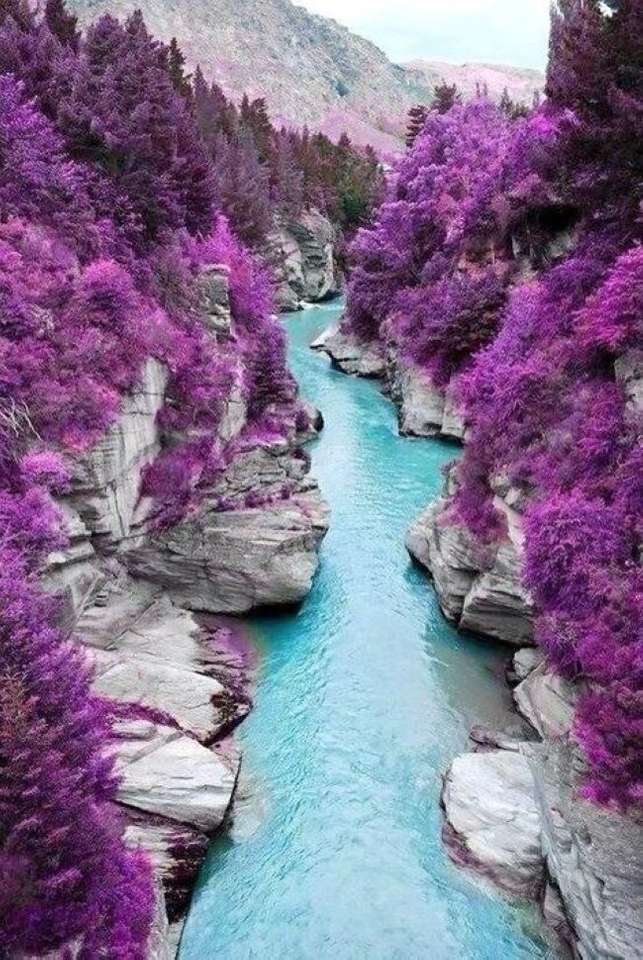 Река через долину с фиолетовыми растениями онлайн-пазл