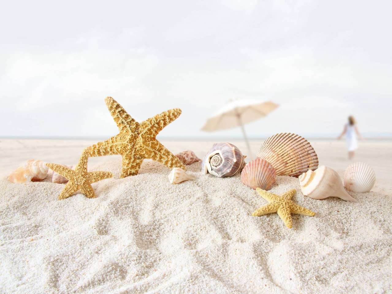Strand met schelpen en zeesterren online puzzel