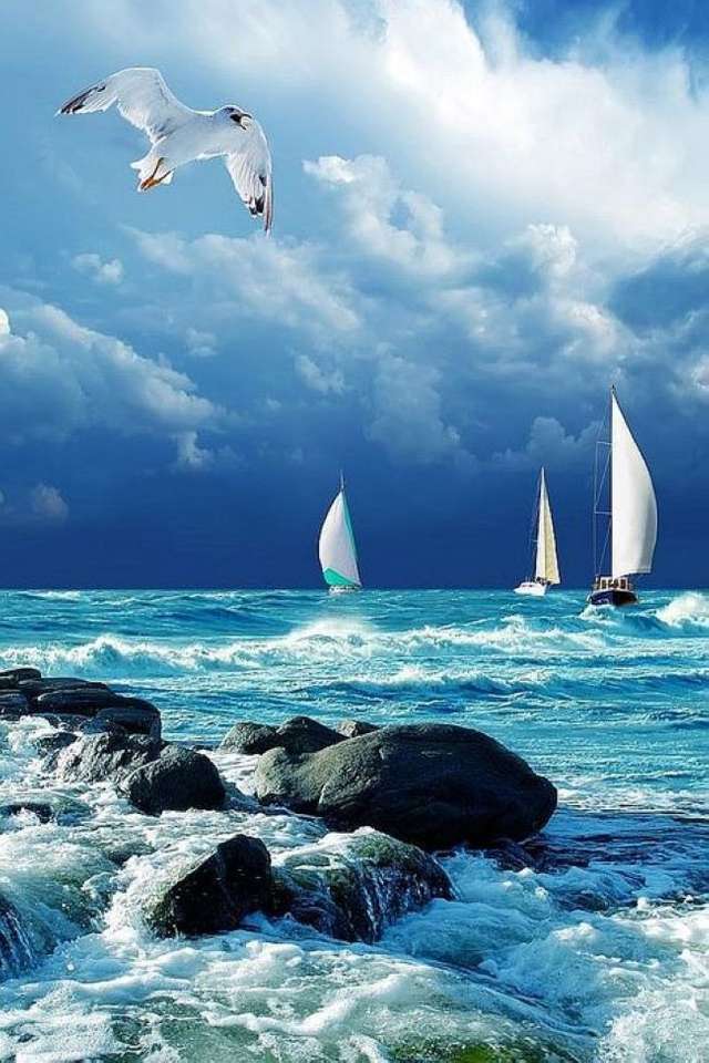 Море с ветроходни лодки и чайки онлайн пъзел