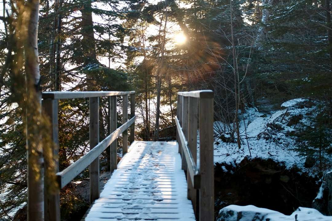 ponte de madeira marrom sobre solo coberto de neve quebra-cabeças online