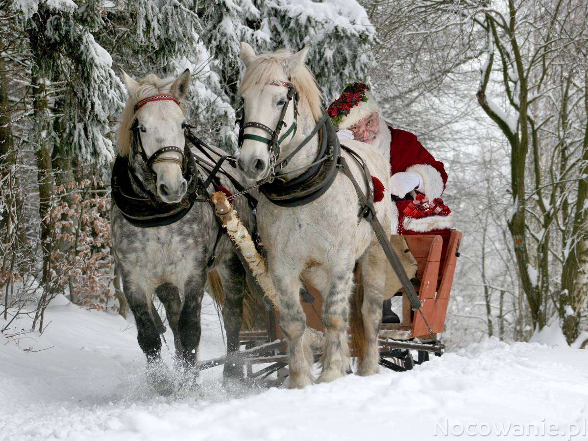 Pferde mit Weihnachtsmann in Tatra-Protein Online-Puzzle