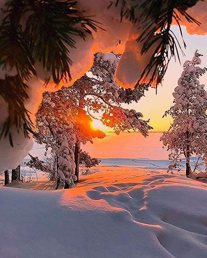 зимовий пейзаж, схід сонця пазл онлайн