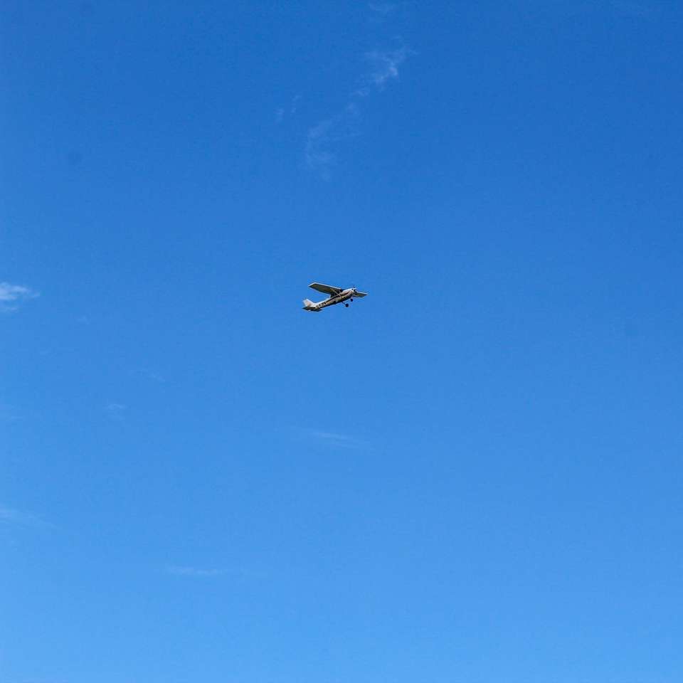 pájaro negro volando bajo un cielo azul durante el día rompecabezas en línea