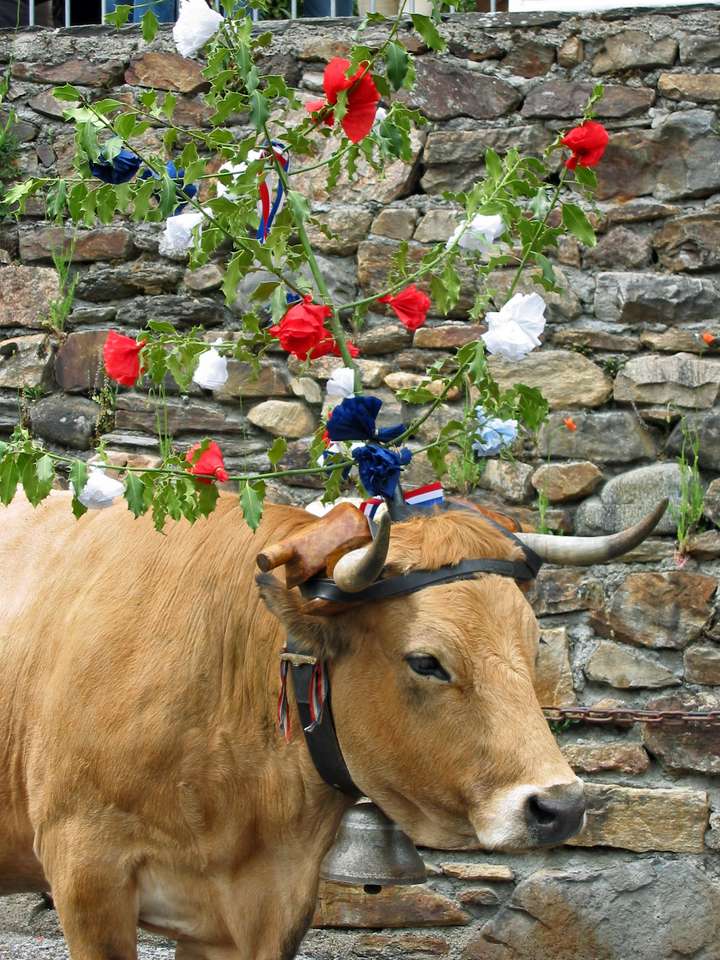 o vacă decorată puzzle online
