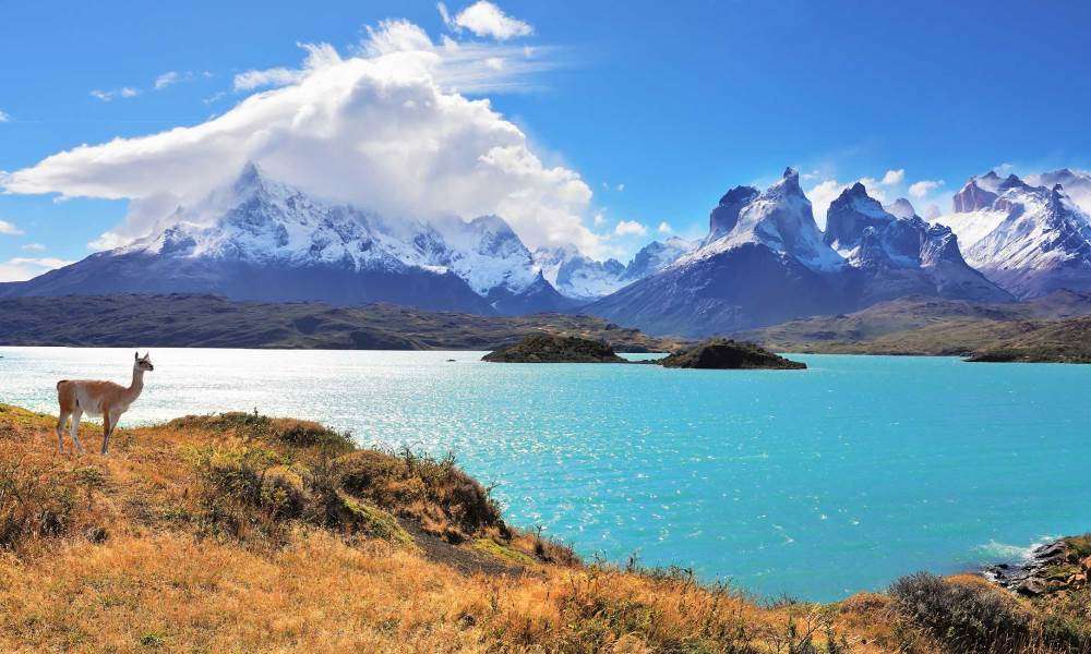 in patagonia puzzle online