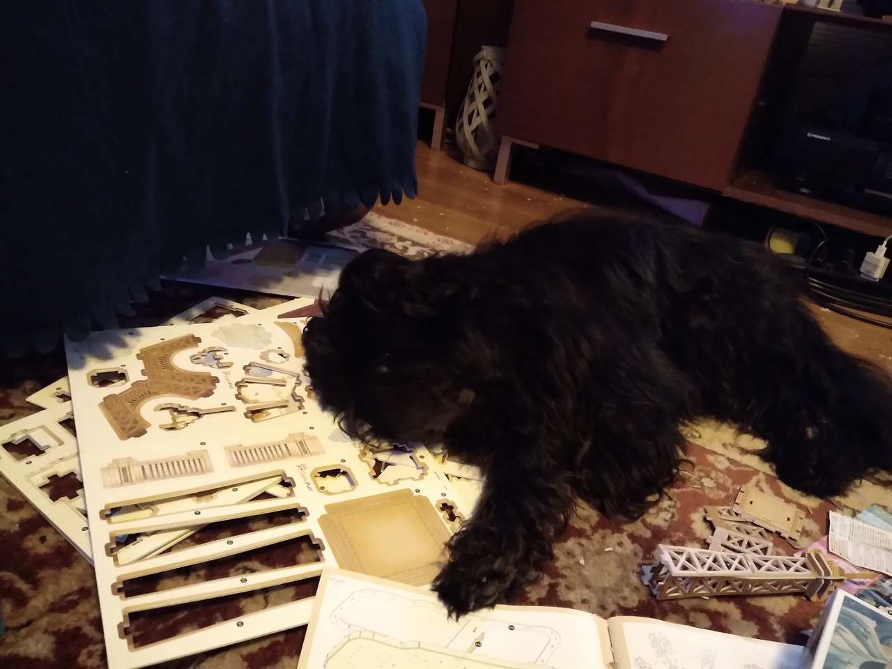 Min hund gör ett 3d-pussel :) Pussel online