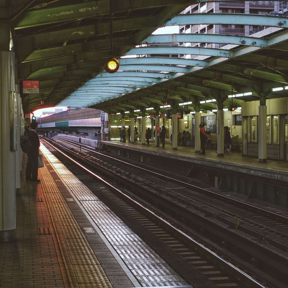 черно-белый поезд на вокзале пазл