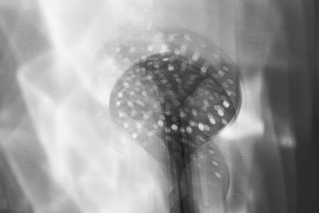 fotografie în tonuri de gri a balonului în formă de inimă puzzle online