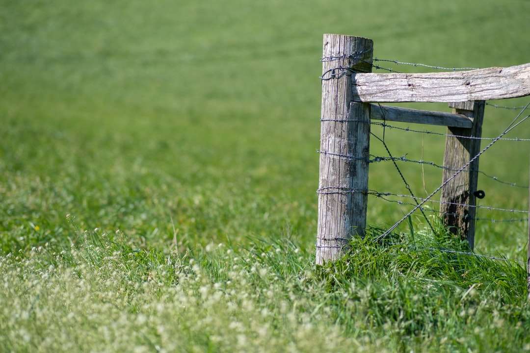 Valla de madera marrón en el campo de hierba verde durante el día rompecabezas en línea