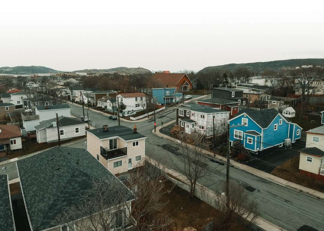 weiße und blaue Häuser auf Hügel Online-Puzzle
