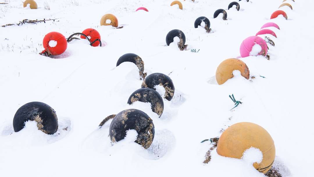 Schwarz-Weiß-Pinguine auf schneebedecktem Boden Online-Puzzle