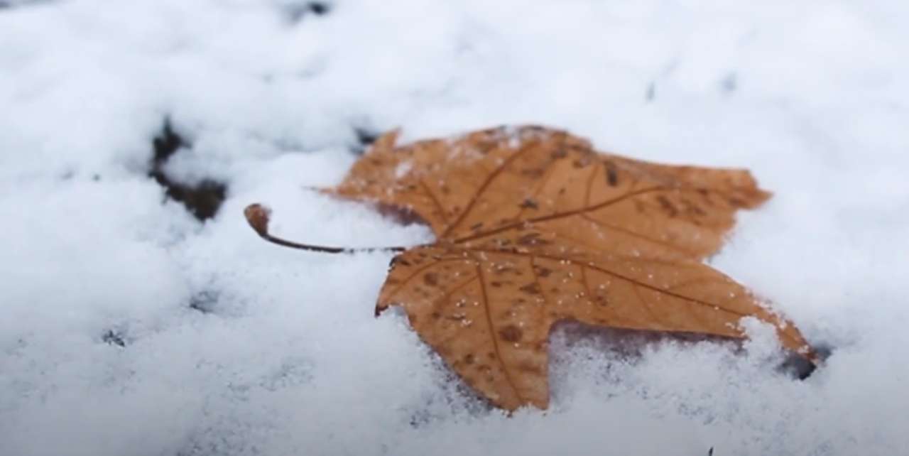 listí a sníh skládačky online