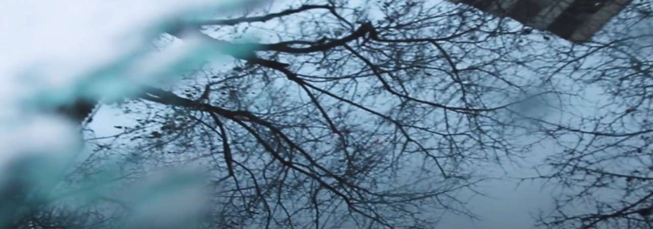 Frozen branches online puzzle