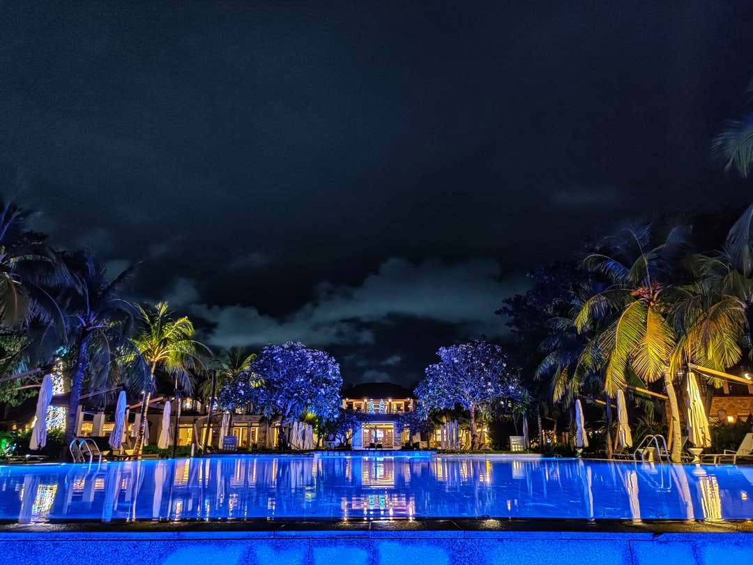 palmiers verts près du plan d'eau pendant la nuit puzzle en ligne