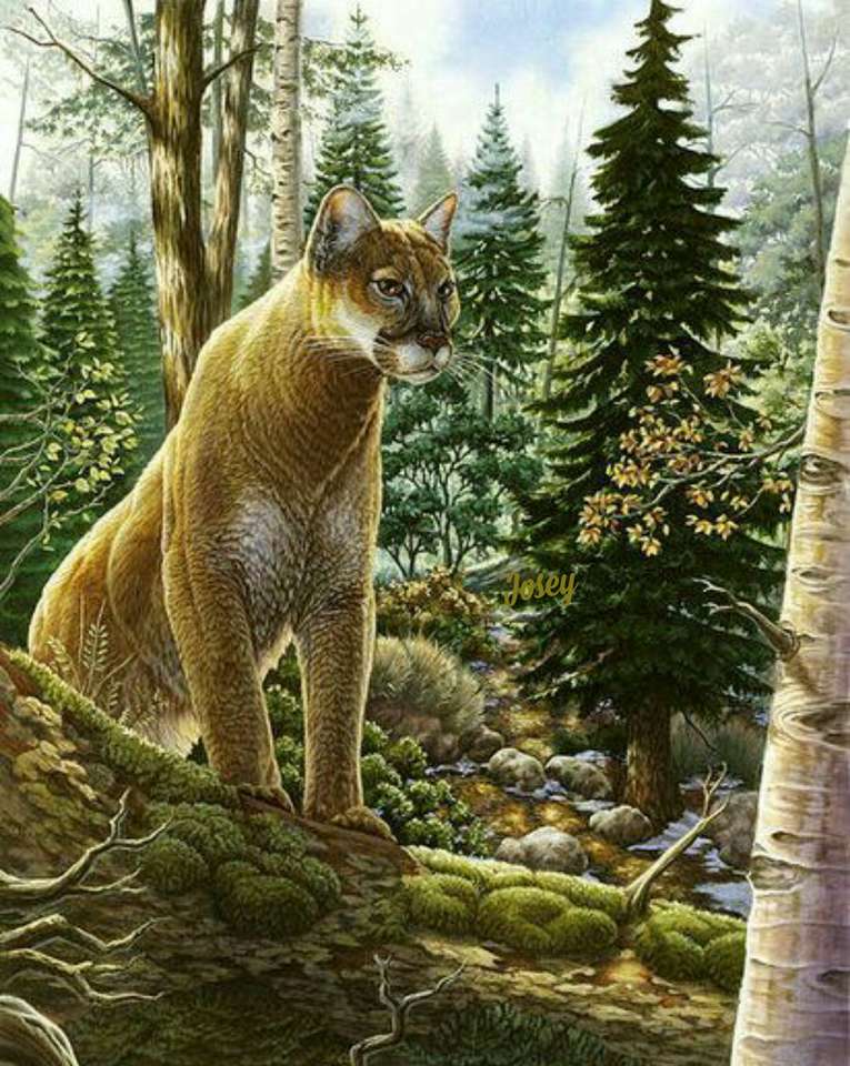 Puma dans la forêt puzzle en ligne