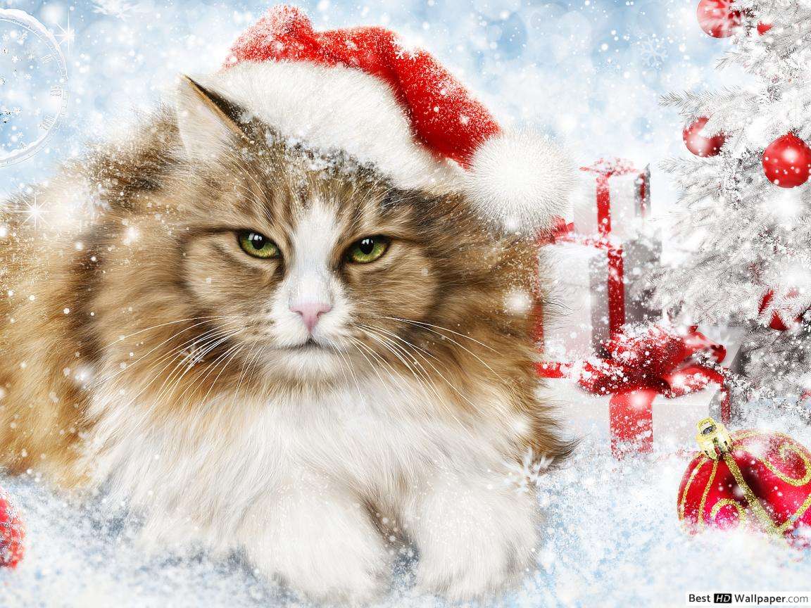 Рождественский котенок пазл онлайн