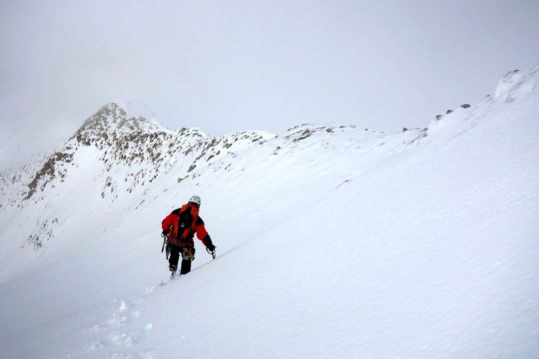 2 άτομα που περπατούν σε χιονισμένο έδαφος κατά τη διάρκεια της ημέρας παζλ online