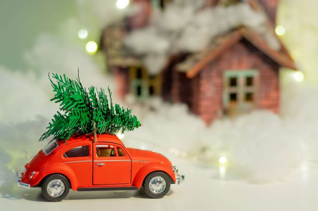 scarabeo rosso volkswagen parcheggiato accanto a un albero di pino verde puzzle online